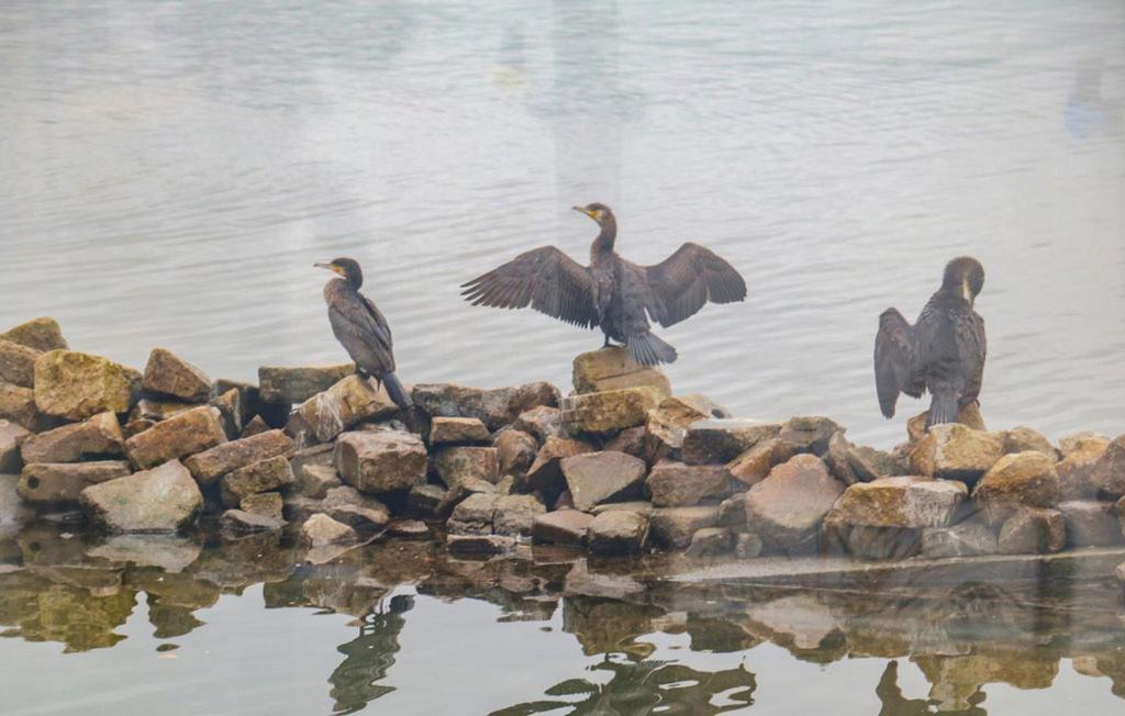 Houseboat Uitzicht Over Veluwemeer, Natuurlokatie, Prachtige Vergezichten 比丁赫伊曾 外观 照片